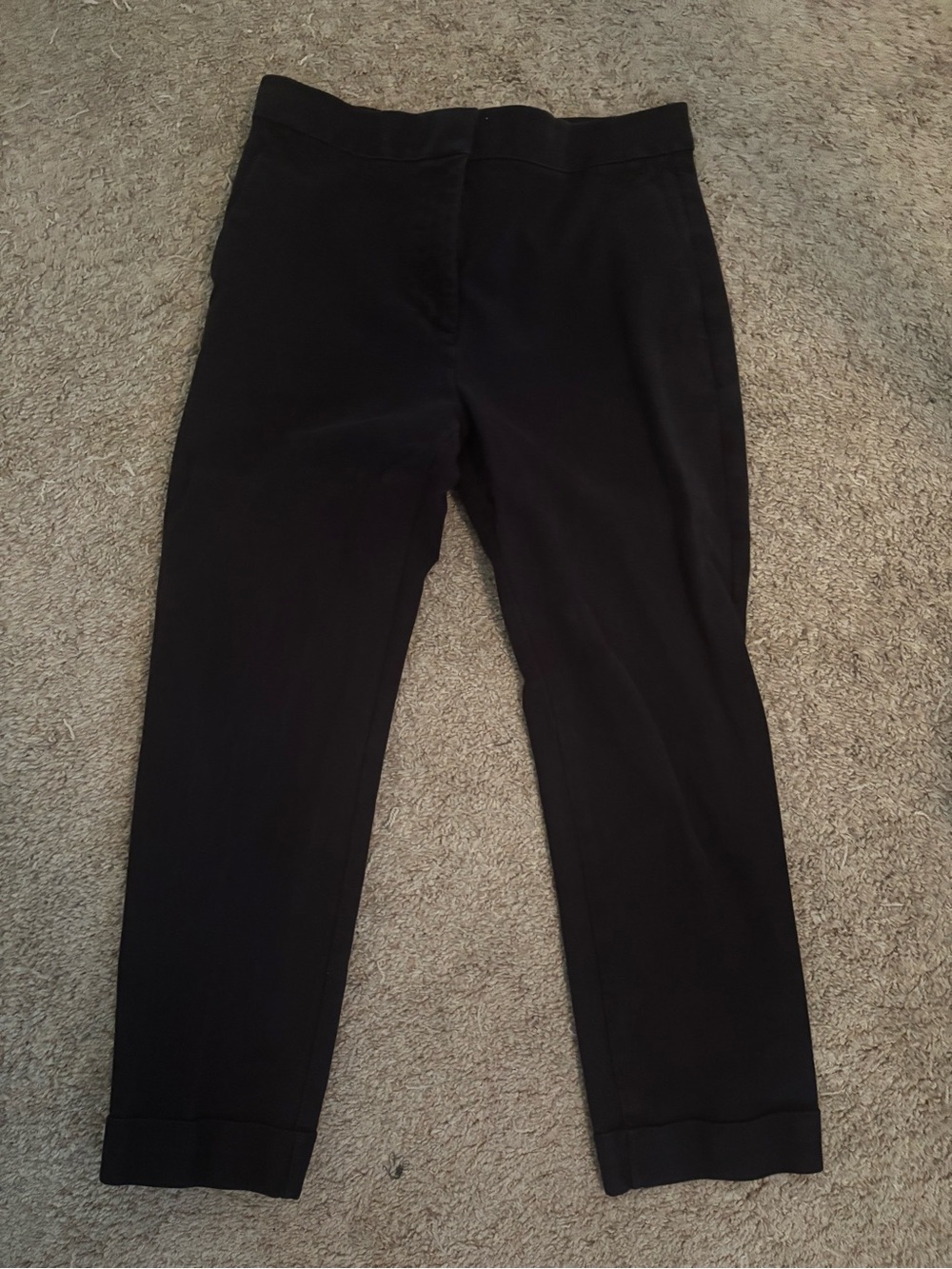 Ann Taylor EVA Women's Navy Blue Ankle Pants